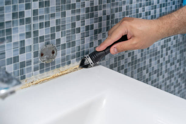 Best Commercial Mold Removal  in Bayshore, NC